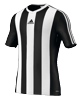 Sandecja Nowy Sącz