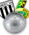 Sandecja Nowy Sącz